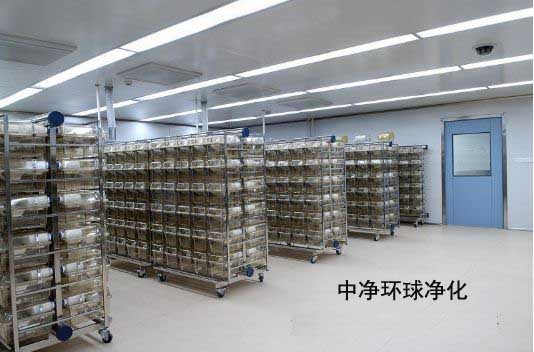 食用菌潔凈車間 食用菌潔凈車間