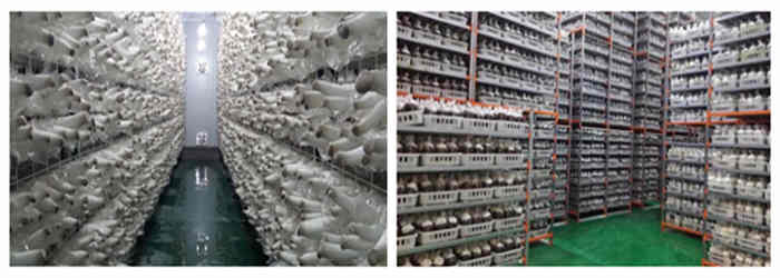 工廠化食用菌車(chē)間生產(chǎn)設(shè)施設(shè)備