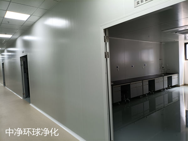 凈化潔凈廠房 凈化潔凈廠房